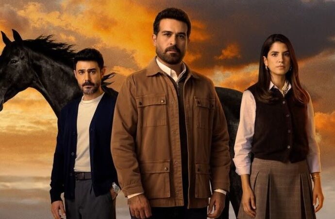 Layl (Instagram Mahmoud Nsr)