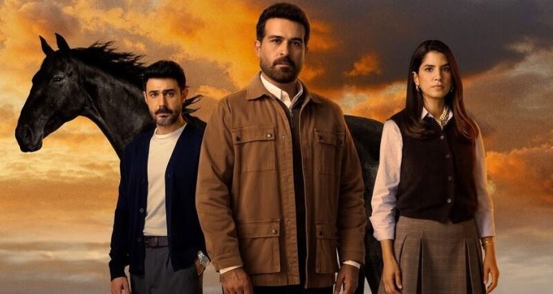 Layl (Instagram Mahmoud Nsr)